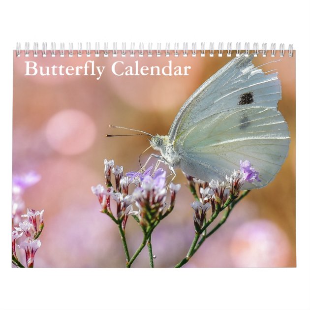 Butterflies 2024 Calendar Zazzle   Butterflies 2024 Calendar R36cc3c15997042f9ae99f20514622c60 Ufxkx 8byvr 630 