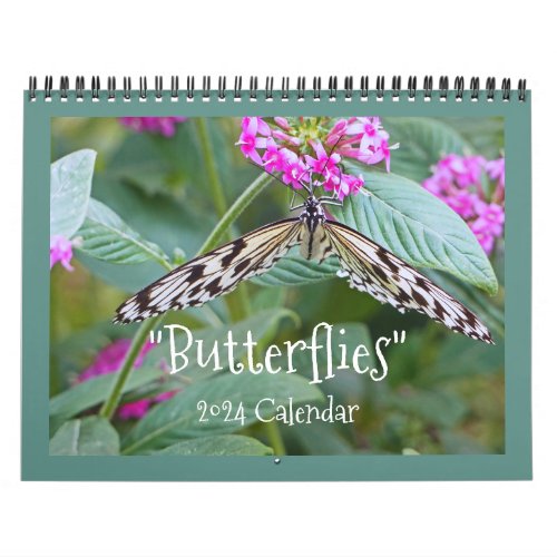 BUTTERFLIES 2024 CALENDAR