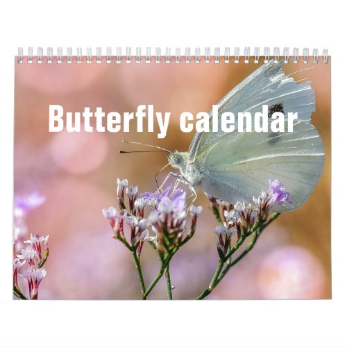 Butterflies 2024 calendar