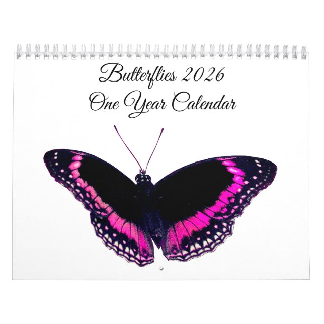 Butterflies 2026 One Year Calendar (Cover)