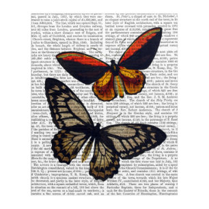 Butterflies 3 acrylic print