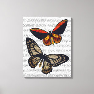 Butterflies 3 canvas print