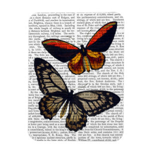 Butterflies 3 magnet