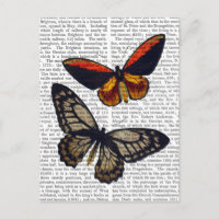 Butterflies 3