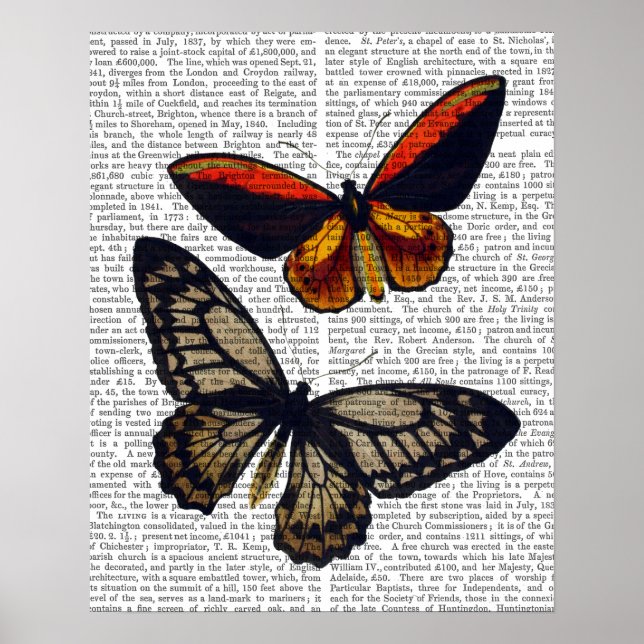 Butterflies 3 poster (Front)