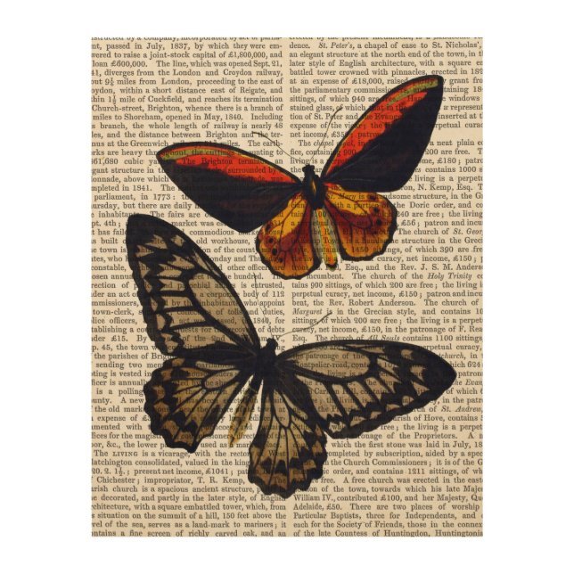 Butterflies 3 wood wall decor (Front)