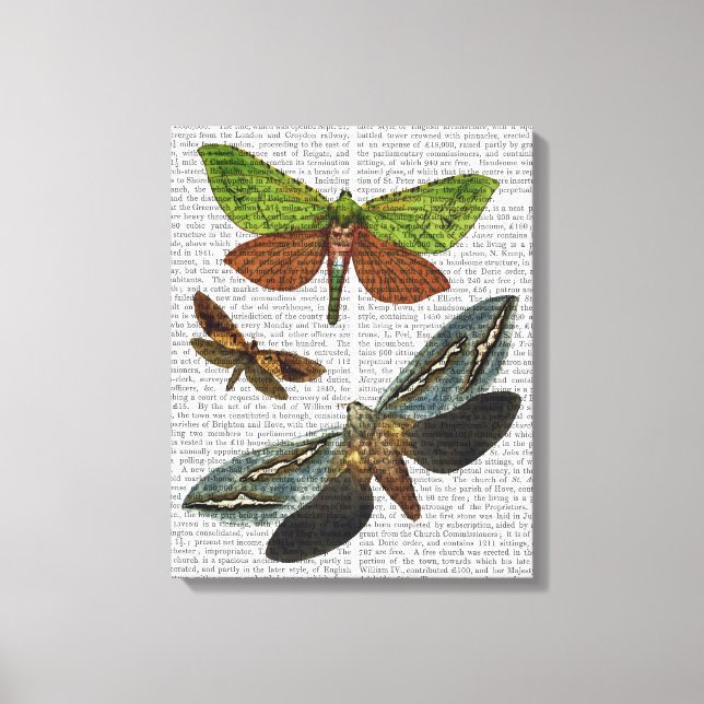 Butterflies 4 canvas print (Front)