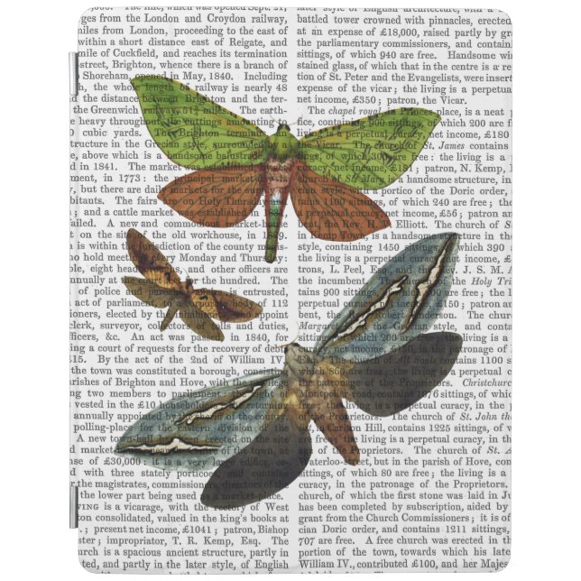 Butterflies 4 iPad air cover (Front)