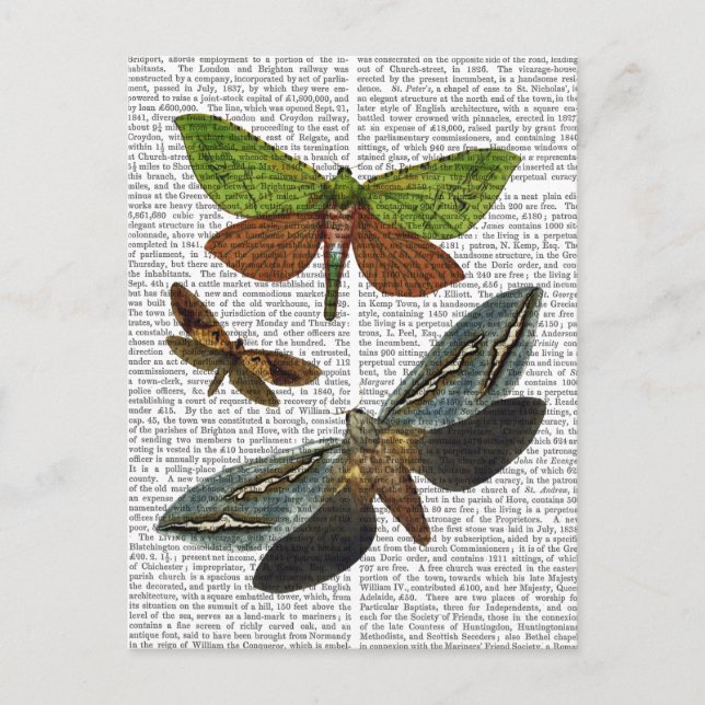 Butterflies 4 postcard (Front)