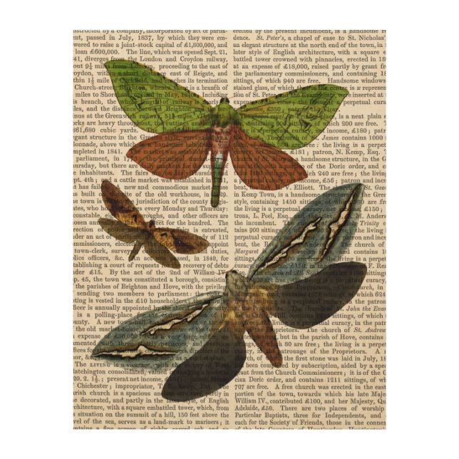 Butterflies 4 wood wall art (Front)