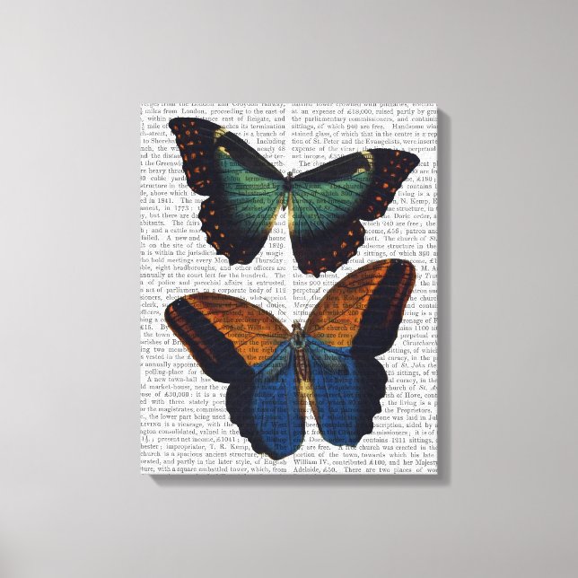 Butterflies 5 canvas print (Front)