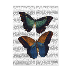 Butterflies 5 postcard