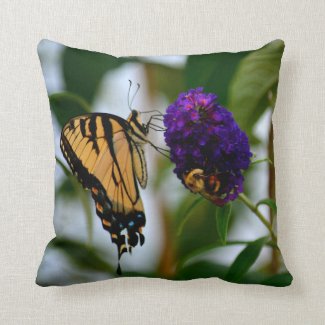 Butterflies and Bumblebees