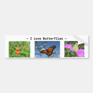 Butterflies and flowers Bumper Sticker