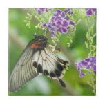 Butterflies and Flowers Tile
