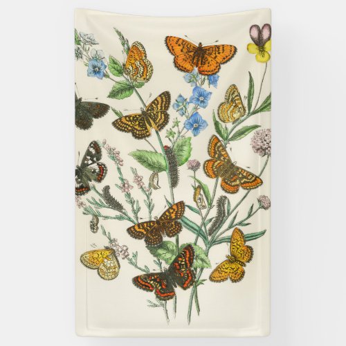 Butterflies and Flowers Vintage Illustration 1 Banner