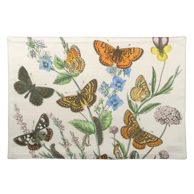 Butterflies and Flowers Vintage Illustration 1 Cloth Placemat (Front)