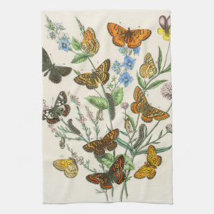 Butterflies and Flowers Vintage Illustration 1 Kitchen Towel