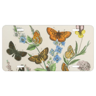 Butterflies and Flowers Vintage Illustration 1 License Plate