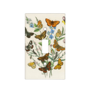 Butterflies and Flowers Vintage Illustration 1 Light Switch Cover