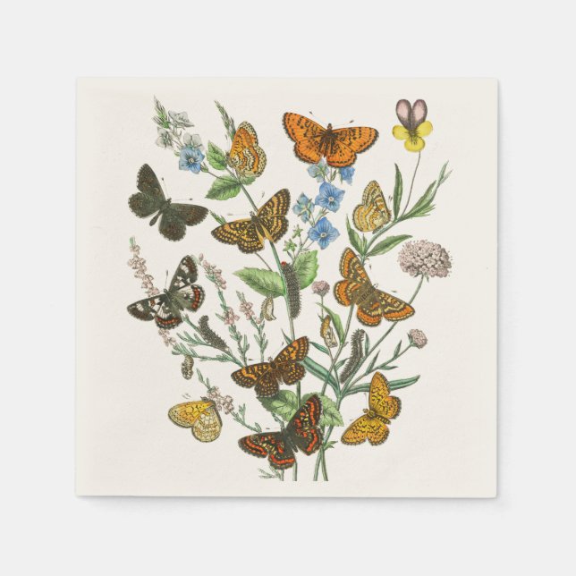 Butterflies and Flowers Vintage Illustration 1 Napkins (Front)