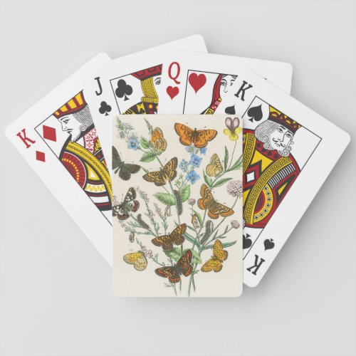 Butterflies and Flowers Vintage Illustration 1 Playing Cards