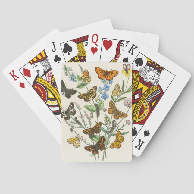 Butterflies and Flowers Vintage Illustration 1 Poker Cards (Back)