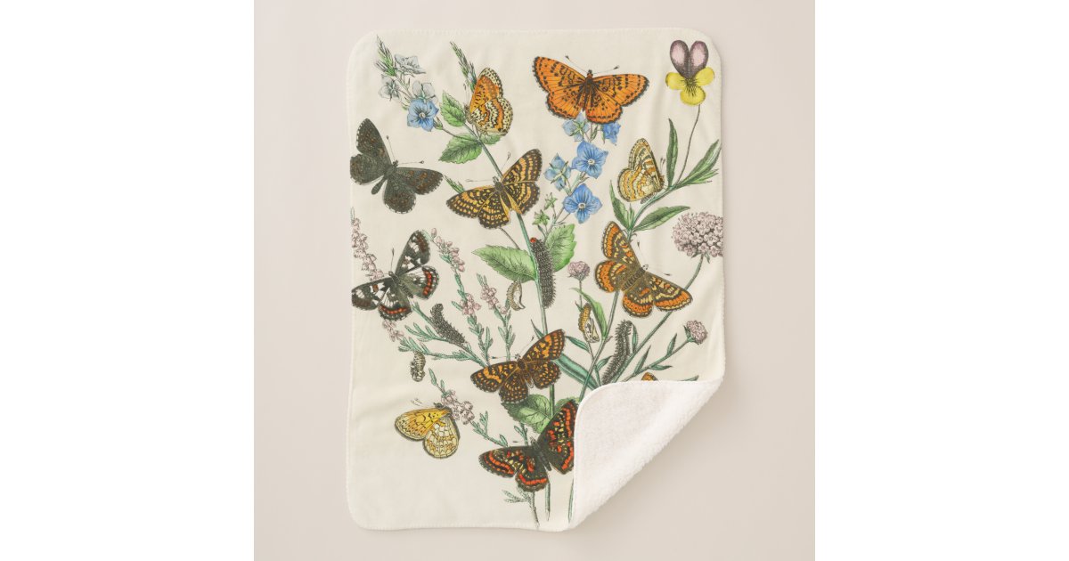 Butterflies and Flowers Vintage Illustration 1 Sherpa Blanket Zazzle