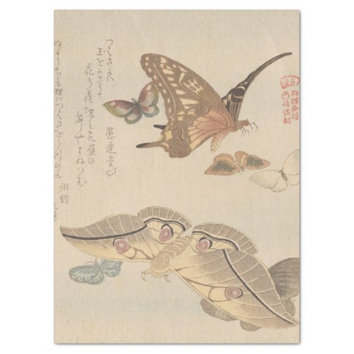 Butterflies and Moths by Kubo Shunman Tissue Paper