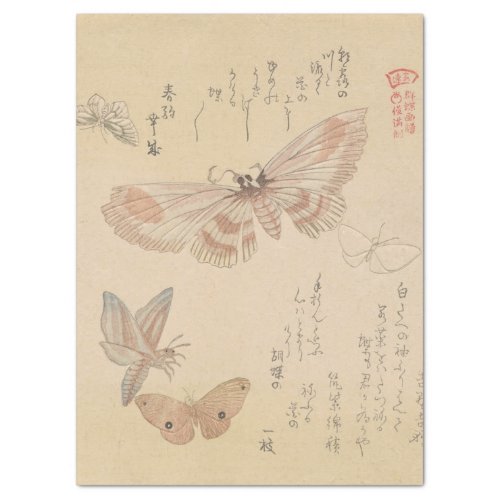 Butterflies and Moths by Kubo Shunman Tissue Paper
