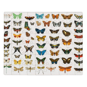 Butterflies and Moths, Vintage Illustration Jigsaw Puzzle