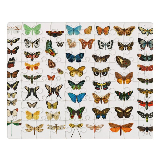 Butterflies and Moths, Vintage Illustration Jigsaw Puzzle (Puzzle Horizontal)
