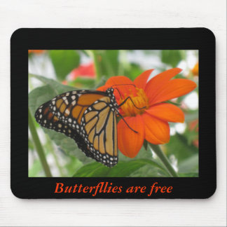 Butterflies are free mouse pad