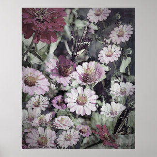 Butterflies are Free Poster