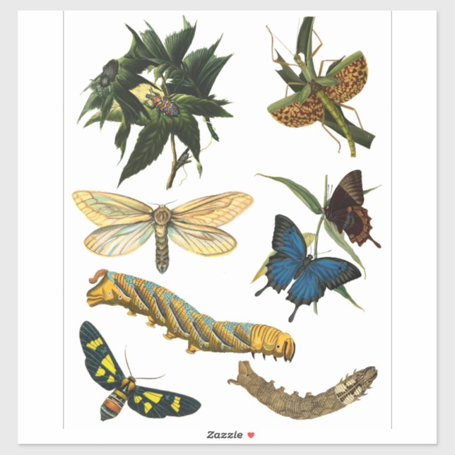 Butterflies Beetle Bugs Insects Collage Art Sticker (Sheet)