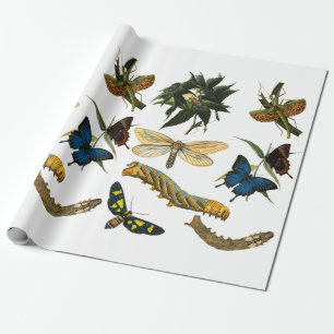 Butterflies Beetle Bugs Insects Collage Art Wrapping Paper