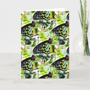 Butterflies Birthday Card
