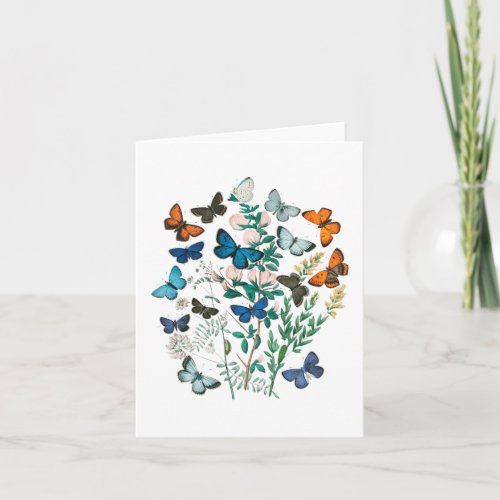 Butterflies _ blank card