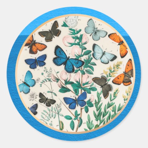 Butterflies blue frame classic round sticker
