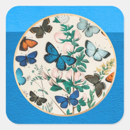 Butterflies blue frame square sticker