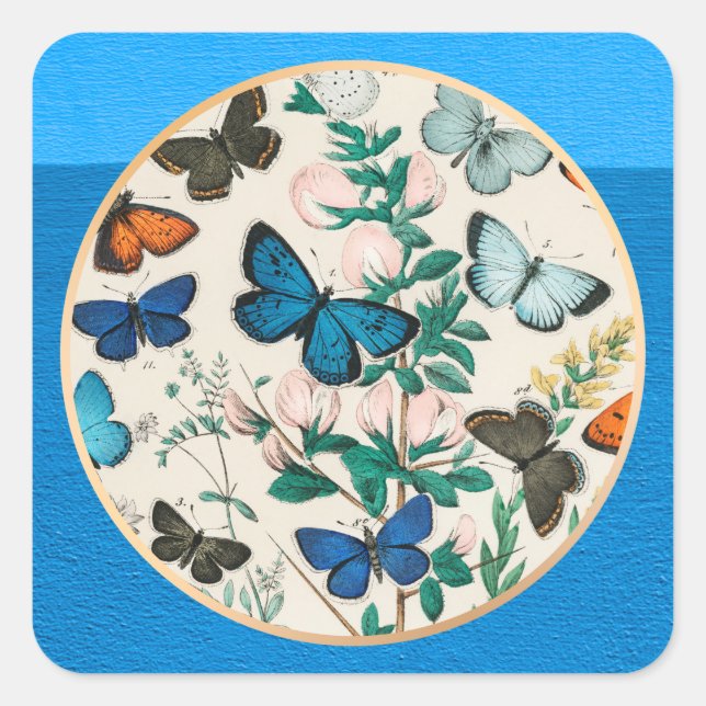 Butterflies, blue frame square sticker (Front)