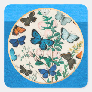 Butterflies, blue frame square sticker