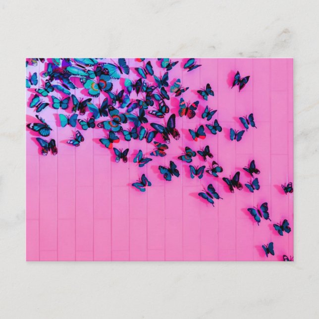 Butterflies Blue Pink Beautiful Postcard (Front)