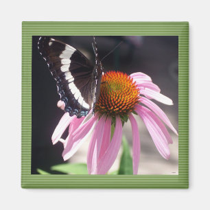 Butterflies Business Magnet