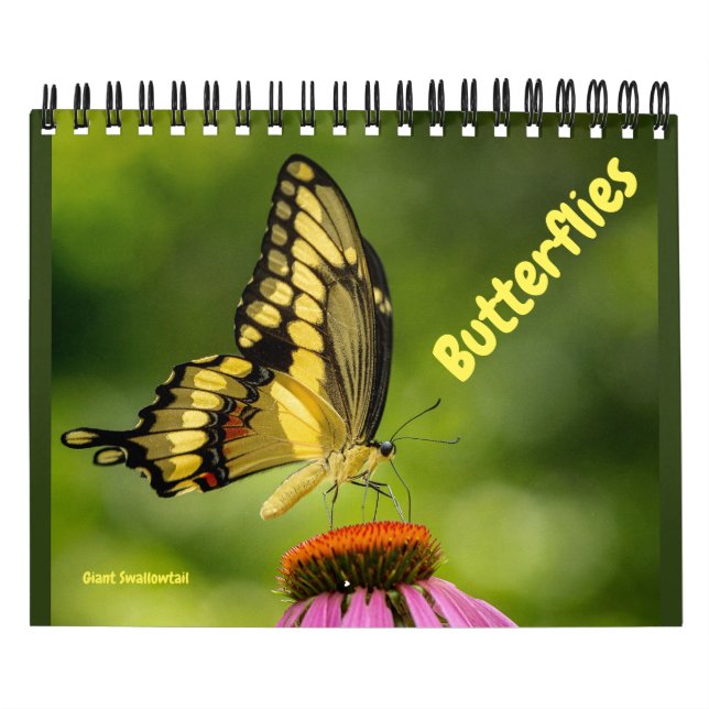 Butterflies Calendar (Cover)