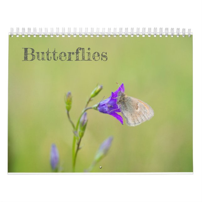 Butterflies calendar (Cover)
