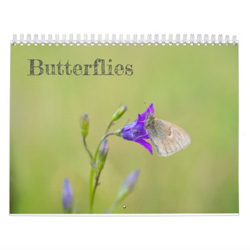 Butterflies calendar