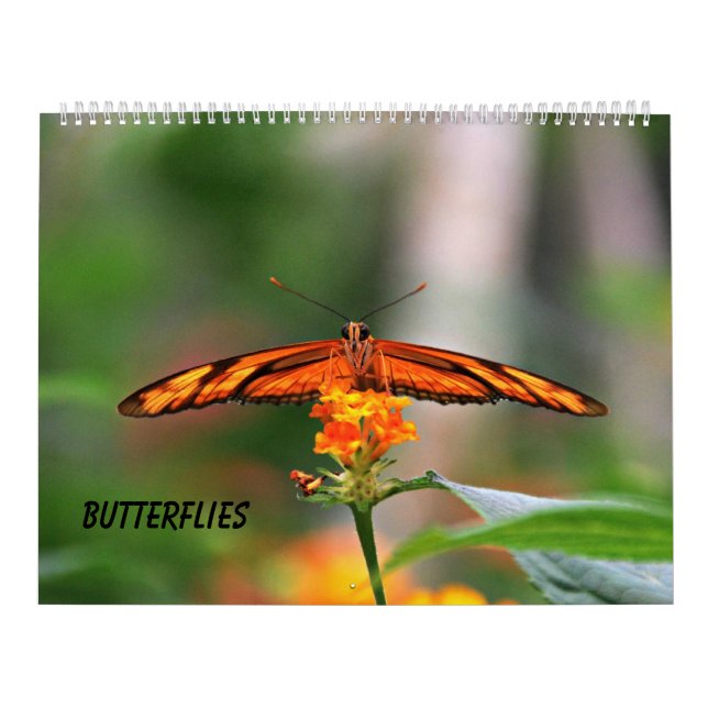 Butterflies Calendar (Cover)