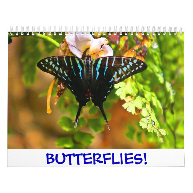 Butterflies! Calendar (Cover)