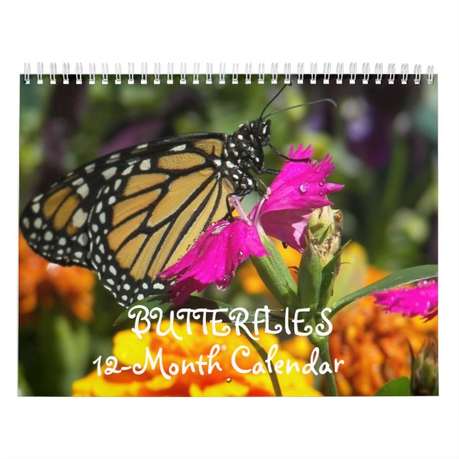 Butterflies  calendar (Cover)